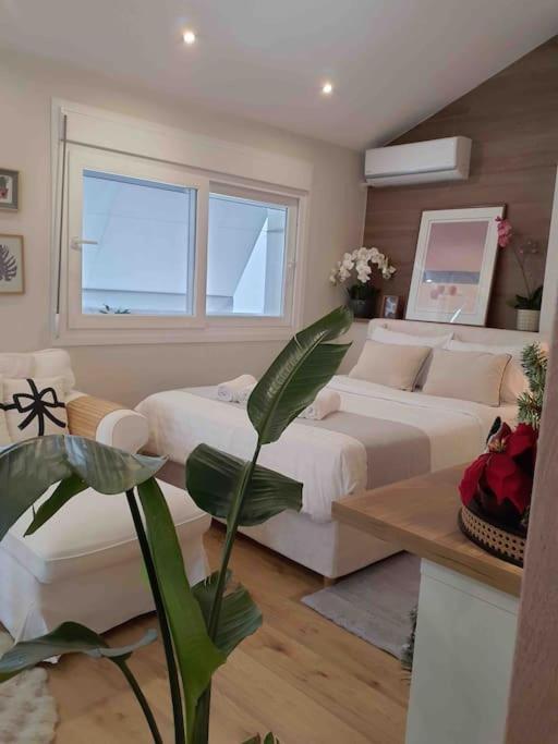 Cozy Studio Στο Κεντρο 라리사 외부 사진
