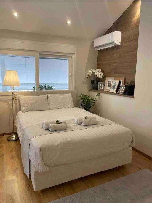 Cozy Studio Στο Κεντρο 라리사 외부 사진